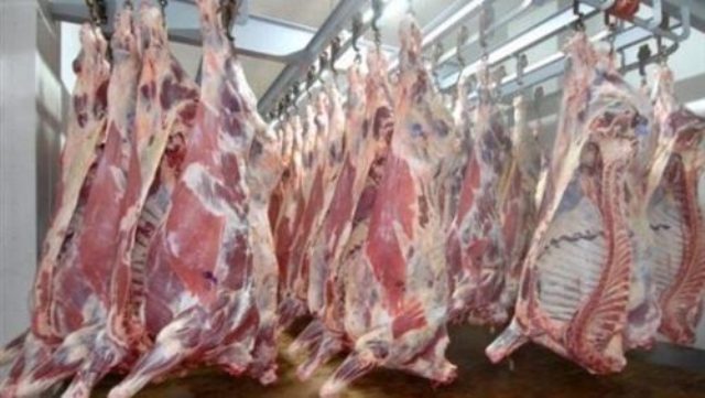 الاقتصاد: قريباً انخفاض بأسعار اللحوم .. والزراعة تستورد آلاف العجول للضفة وغزة