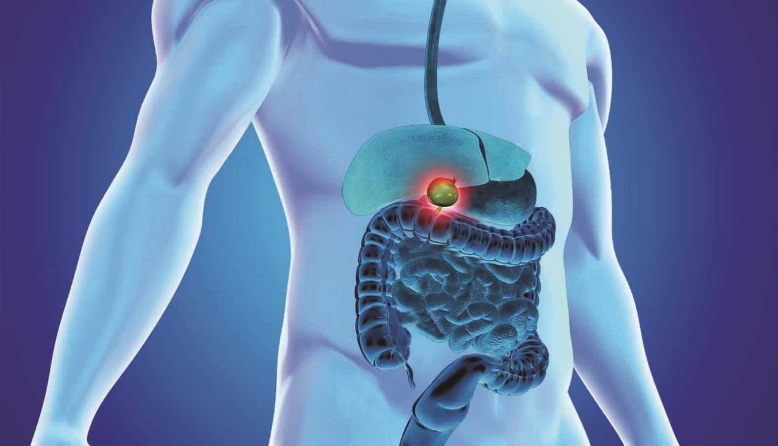 هذه العلامات قد تشير إلى اضطراب عمل المرارة