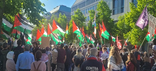 تظاهرات حاشدة في عدة مدن وعواصم بالعالم تضامنا مع الشعب الفلسطيني