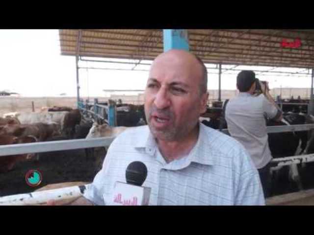 الزراعة تنفي تهريب كميات من البيض الفاسد لغزة